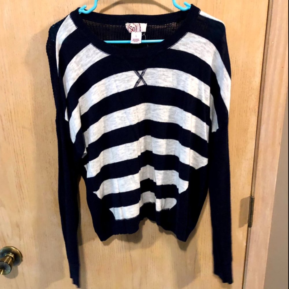 Blue and White Cropped Sweater